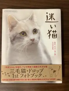 迷い猫―映画「先生と迷い猫」公式写真集三毛猫・ドロップ 1stフォトブック
