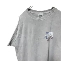 ATM コンフォートカラーCOMFORT color 半袖Tシャツ　グレー　L