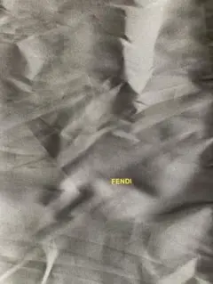 FENDI フェンディ 巾着袋