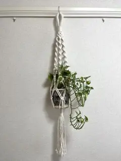 マクラメ プラントハンガー 観葉植物
