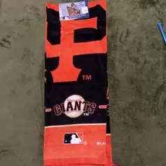 Item thumbnail for item 87a983fa-5d75-407e-8b50-abe135e54d8d