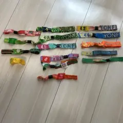 邦ロックフェス バンド セット