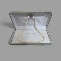 Item thumbnail for item 3eaafeb5-6dd6-410d-a509-963b84cf8d11