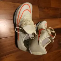 NIKE Air Zoom Max fly