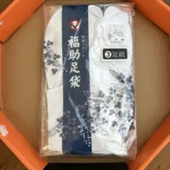 Item thumbnail for item e97ebfa9-750c-4a7f-86a3-1feb12677f08