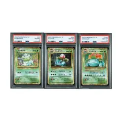 【ポケカ発掘隊】隊長の秘蔵品！フシギバナ進化ライン PSA10・3連番