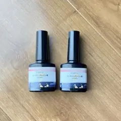 Item thumbnail for item 1ad06e1d-3ad4-40b2-abb3-48c2057a865a