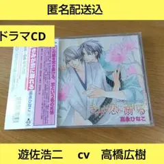 RUBY CD COLLECTION「きみが恋に溺れる」