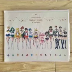 セーラームーン　コスモス　劇場版　グッズ　パンフレットホルダー