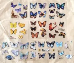 Item thumbnail for item e4da2381-4e49-4051-948f-0c729f6cc63c