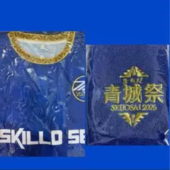 町田ゼルビア青城祭 記念 Tシャツ&リストバンド+おまけ付き