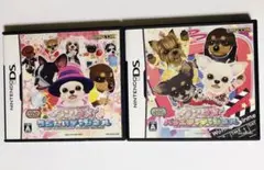 ワンタメ うらない&バラエティチャンネル　DSソフト2本セット