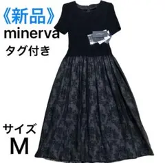 Item thumbnail for item e8378176-00d1-47e3-bd35-2ad2cb4a6b0d
