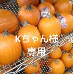 Item thumbnail for item 203d47df-3e8a-4be4-a0c8-b026ccb3ecef