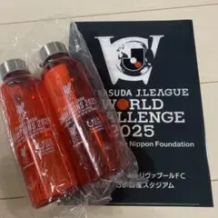 Jリーグ　ワールドチャレンジカップ　横浜F・マリノスvsリバプールFC