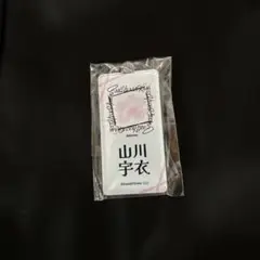山川宇衣 櫻坂46 ネームキーホルダー 5thTOUR