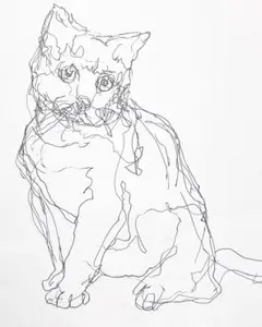 ペン画/猫/A4サイズ
