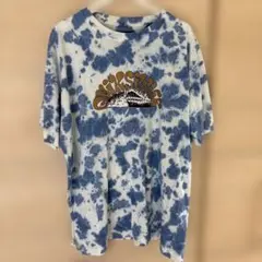 クイックシルバーTシャツ