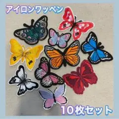 蝶々 ワッペン 10枚セット 刺繍 カラフル リメイク ハンドメイド パーツ