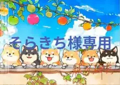 クロスステッチキット 柴犬の壁 (11CT、図案印刷あり)