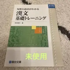 句形と語法がわかる　漢文基礎トレーニング　駿台文庫　　未使用