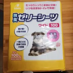 Item thumbnail for item 59dcb270-2500-46b4-826b-f99f1caa7b52