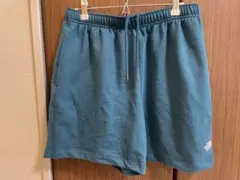 【日本未発売】アメリカ　ノースフェイス　アウトドア　ショートパンツ　US S