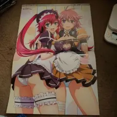 百花繚乱　サムライブライド　ポスター#GG