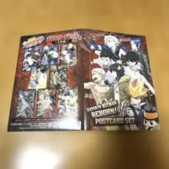 家庭教師ヒットマンREBORN！　ポストカード8枚セット