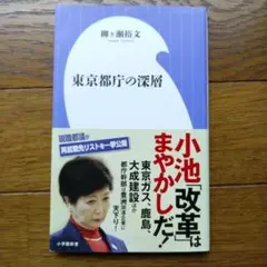 東京都庁の深層 柳ケ瀬裕文