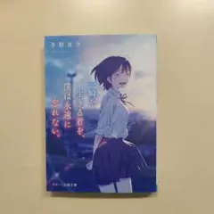 瞬きを生きる君を、僕は永遠に忘れない。