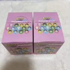 まじかる百貨店 PetiTEEN 缶バッジ 13種 コンプリート 2 BOX