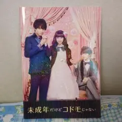 未成年だけどコドモじゃない 映画パンフレット