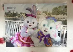 ディズニー　スペフォ　35周年　ステラルー、ジェラトーニ
