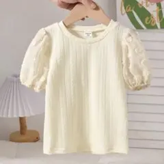 【ほぼ未使用】シーイン　半袖シフォンスリーブTシャツ　クルーネック　トップス