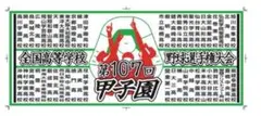 第107回　甲子園　全国野球選手権大会記念タオル