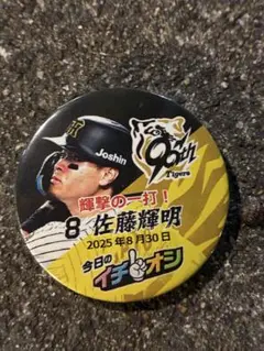 阪神タイガースイチオシ缶バッチ8月30日佐藤輝明選手
