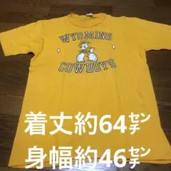 ARTEX Tシャツ XL18-20USA製WYOMING COWBOYS