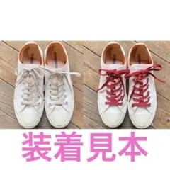 Item thumbnail for item 68480e30-0ac8-4a7f-b584-8d70697dc695