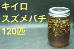 シンゴさん専用21年物スズメバチの焼酎漬け1.8L 平成17年10月 21年物スズメバチの焼酎漬け1.8L 平成17年10月 焼酎