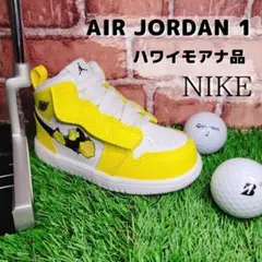 『超レアな限定品‼️』NIKE ジョーダン✨ハワイモアナ✨パター カバー✨ピン型