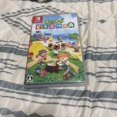 あつまれ どうぶつの森 Nintendo Switch