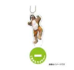 こーすけ　最俺　ヴィレバン　アクキー　アクスタ