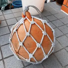 Item thumbnail for item 95eb6841-e225-4e98-b700-1f4d2cbf7f72