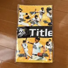 【新品未使用】ソフトバンクホークス 20周年記念タオル