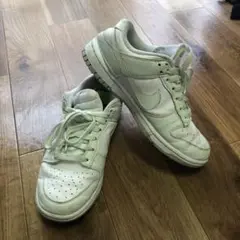 ナイキ ウィメンズ ダンクロー ネクストネイチャー