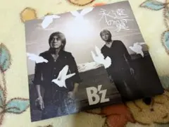 B'z 永遠の翼 CD