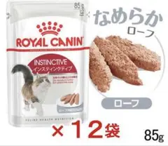 Item thumbnail for item dd667ff1-e439-499b-9a4b-90f34ed05ae7