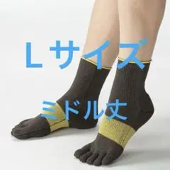 [新品] アルキテクト・クール　ブラウン×イエロー　Lコラーゲン×和紙ソックス