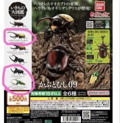 いきもの大図鑑かぶとむし09 3種セット　新品未開封